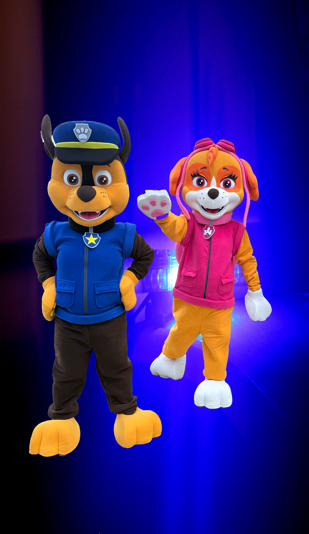 Skye & Chase Duo Performance for Kids' Parties & Events | Imagine Occasions