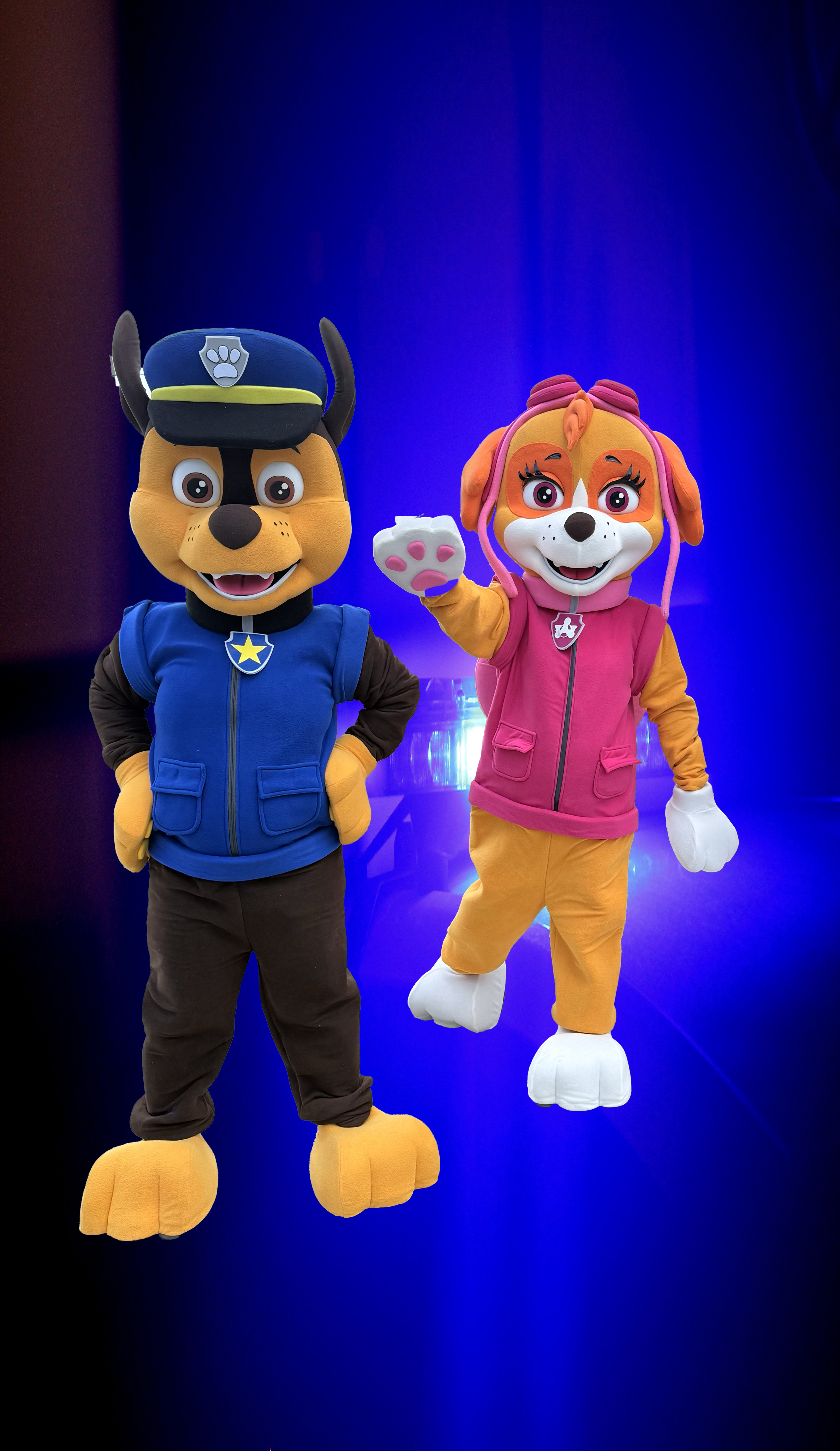 Skye & Chase Duo Performance for Kids' Parties & Events | Imagine Occasions