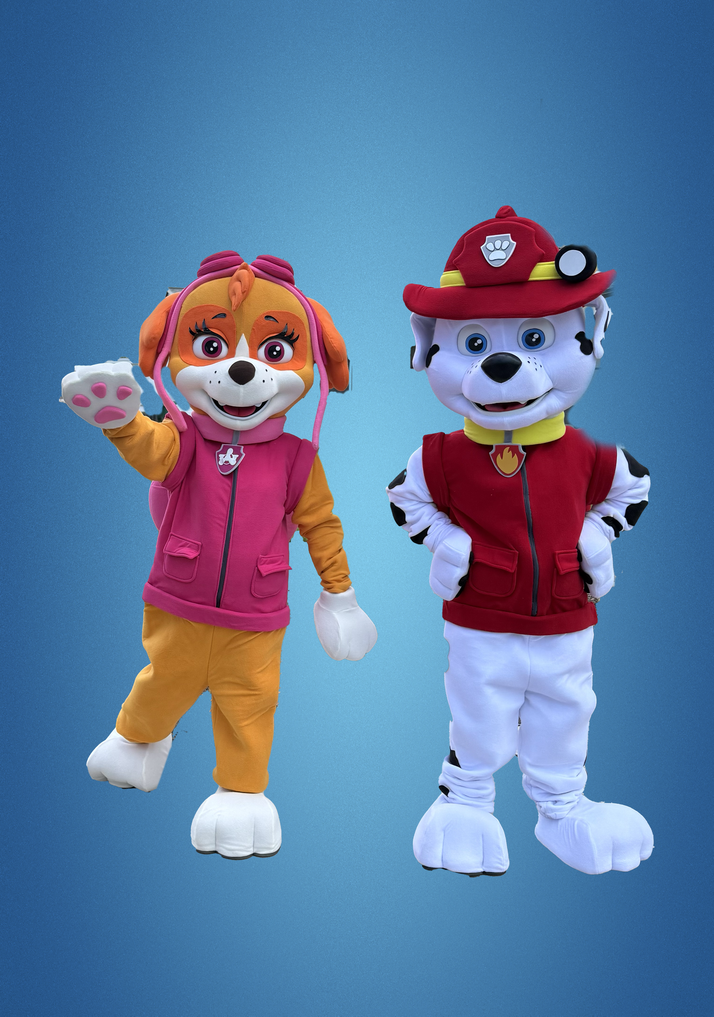 Skye & Marshall Duo Performance for Kids' Parties & Events | Imagine Occasions