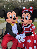 Mickey and Minnie Performance for Kids' Parties & Events | Imagine Occasions