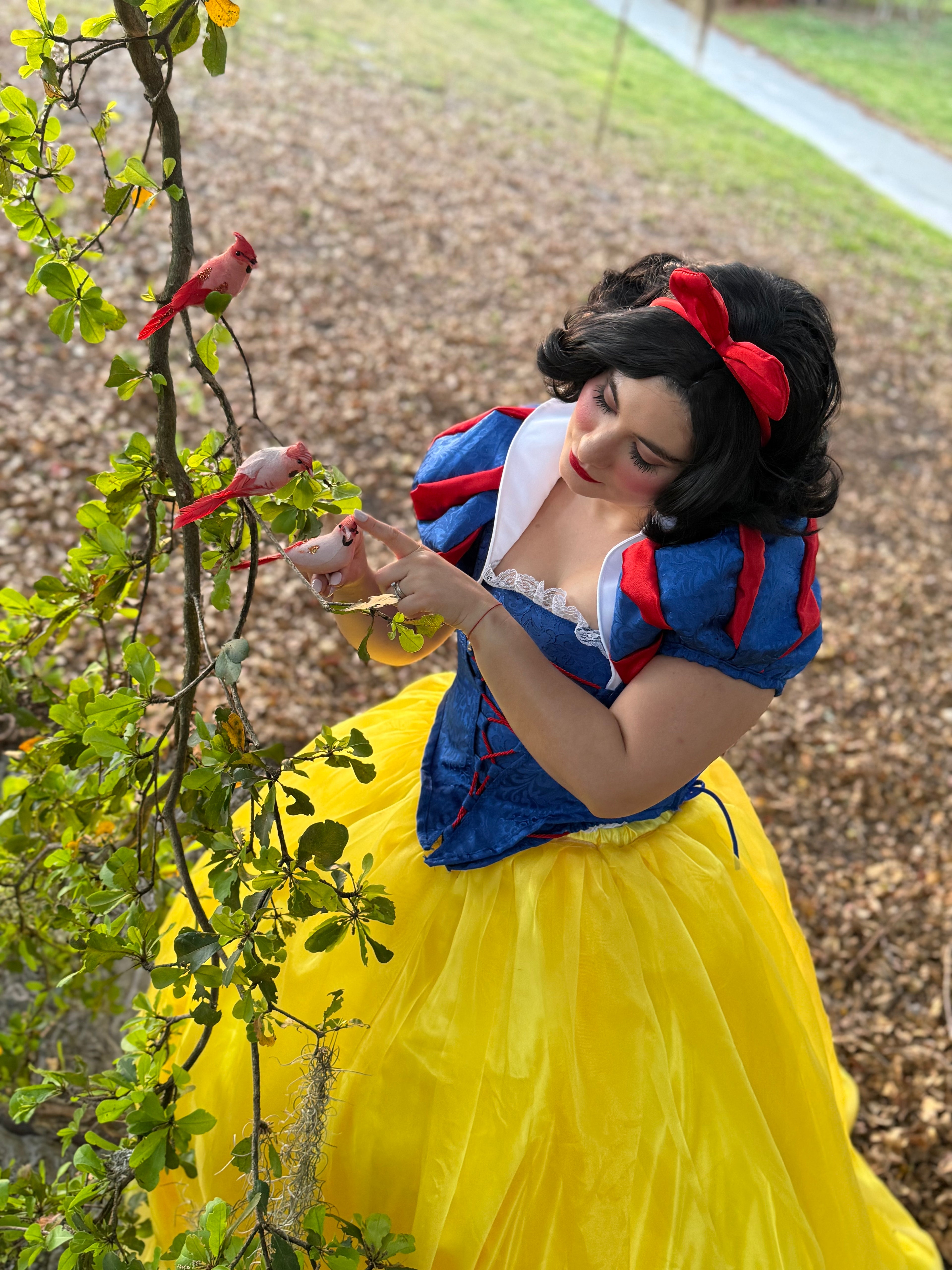 Snow White Performance - The Enchanted Princess | Imagine Occasions