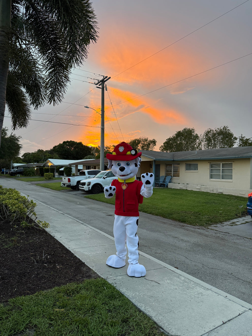 Marshall & Chase Duo Performance - Paw Patrol Heroes | Imagine Occasions