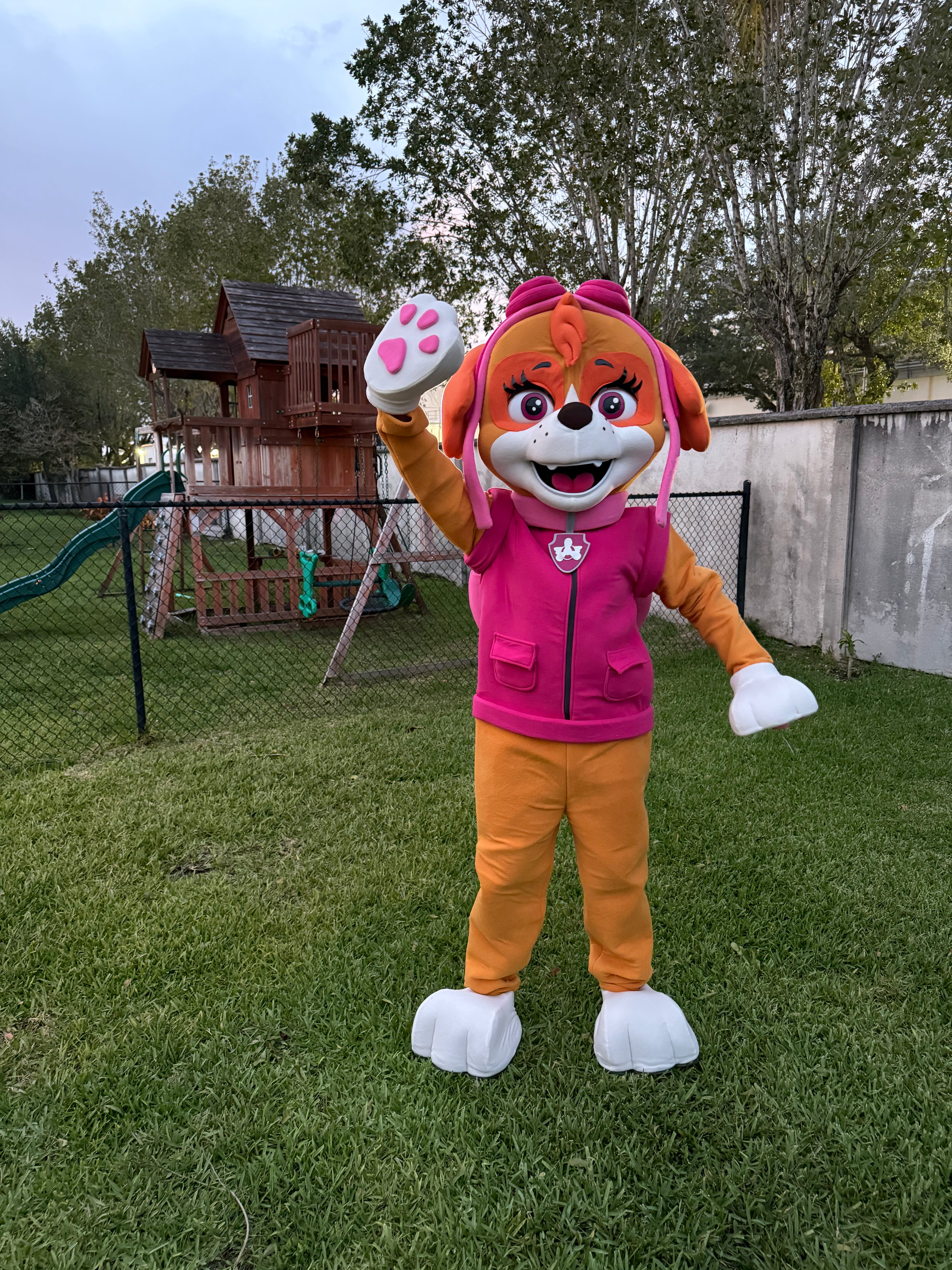 Marshall & Chase Duo Performance - Paw Patrol Heroes | Imagine Occasions