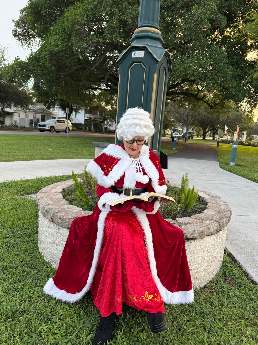 Mrs. Claus Meet & Greet Experience