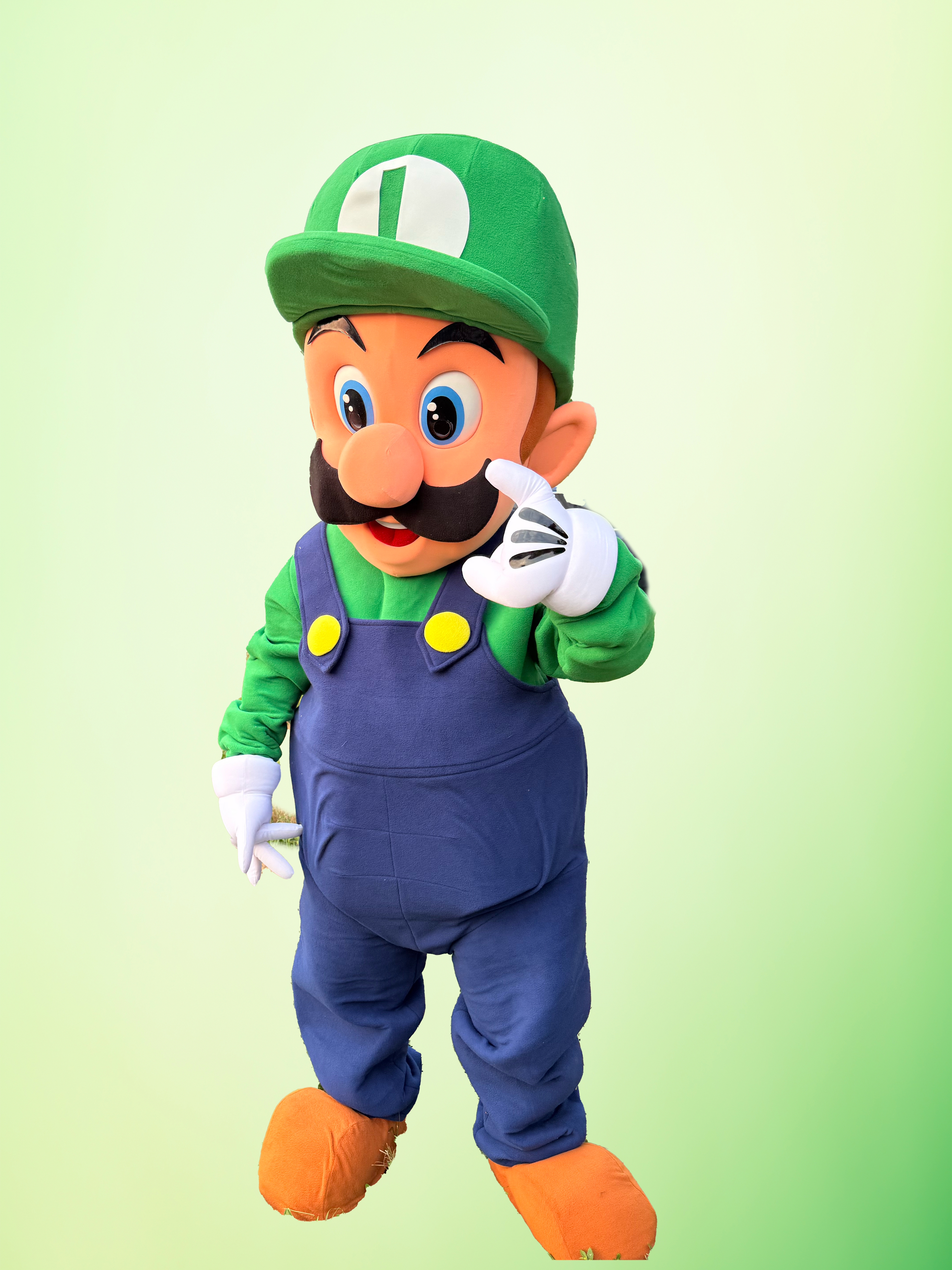 Luigi Performance for Kids' Parties & Events | Imagine Occasions