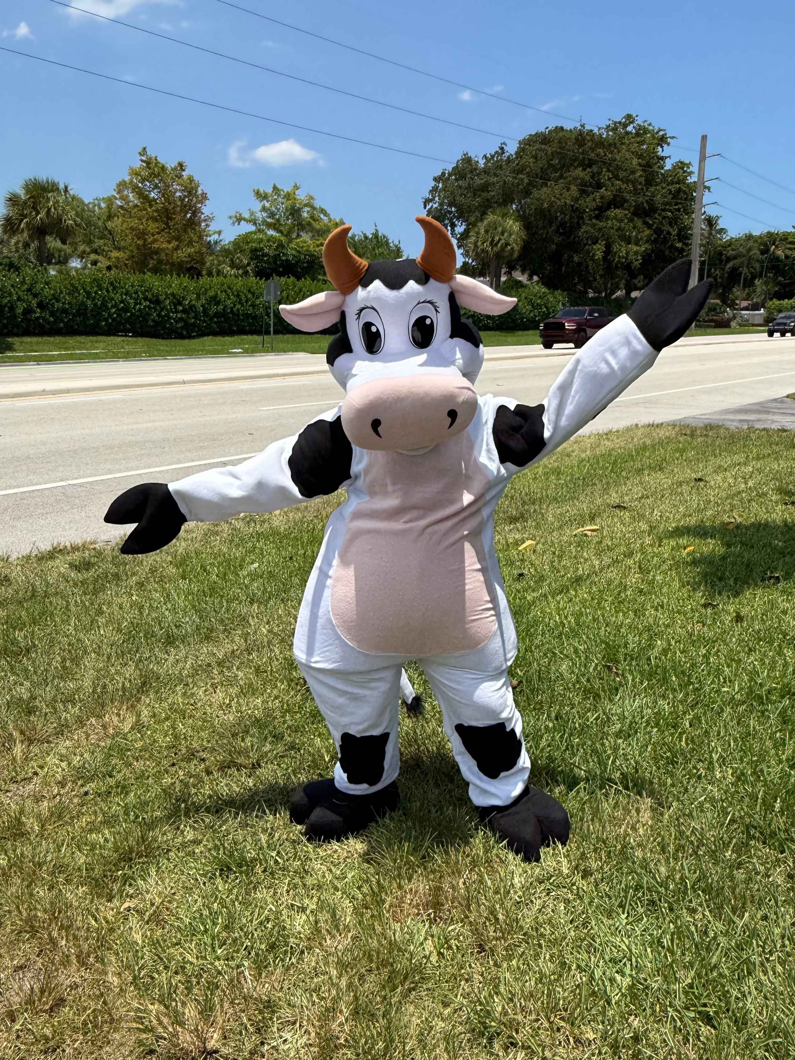 Vaca Lola