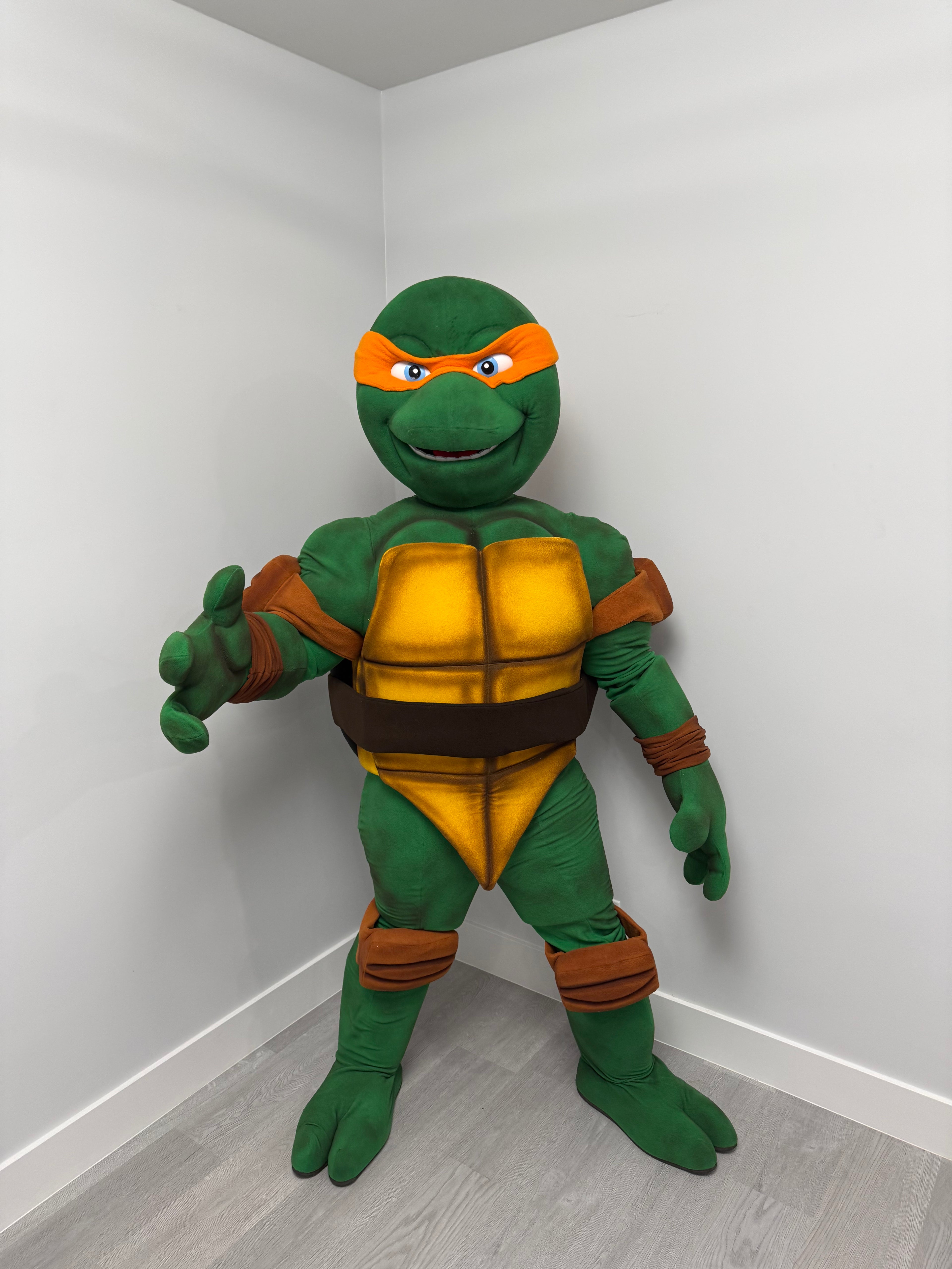Ninja Turtle