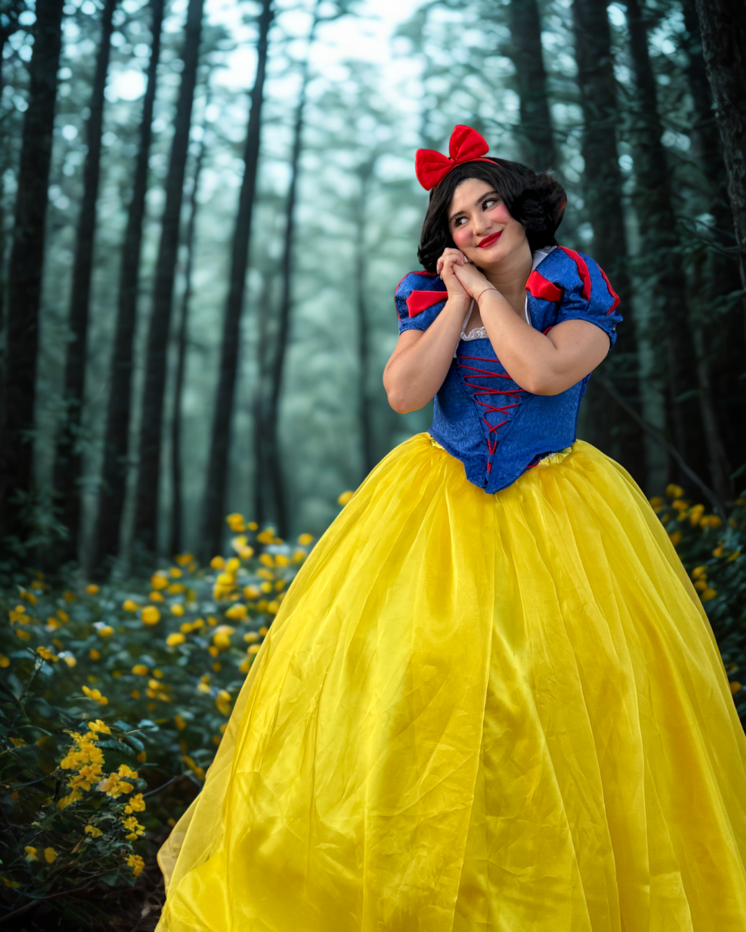 Snow White Performance - The Enchanted Princess | Imagine Occasions
