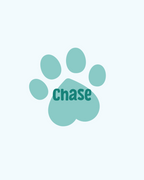 Chase Performance for Kids' Parties & Events | Imagine Occasions