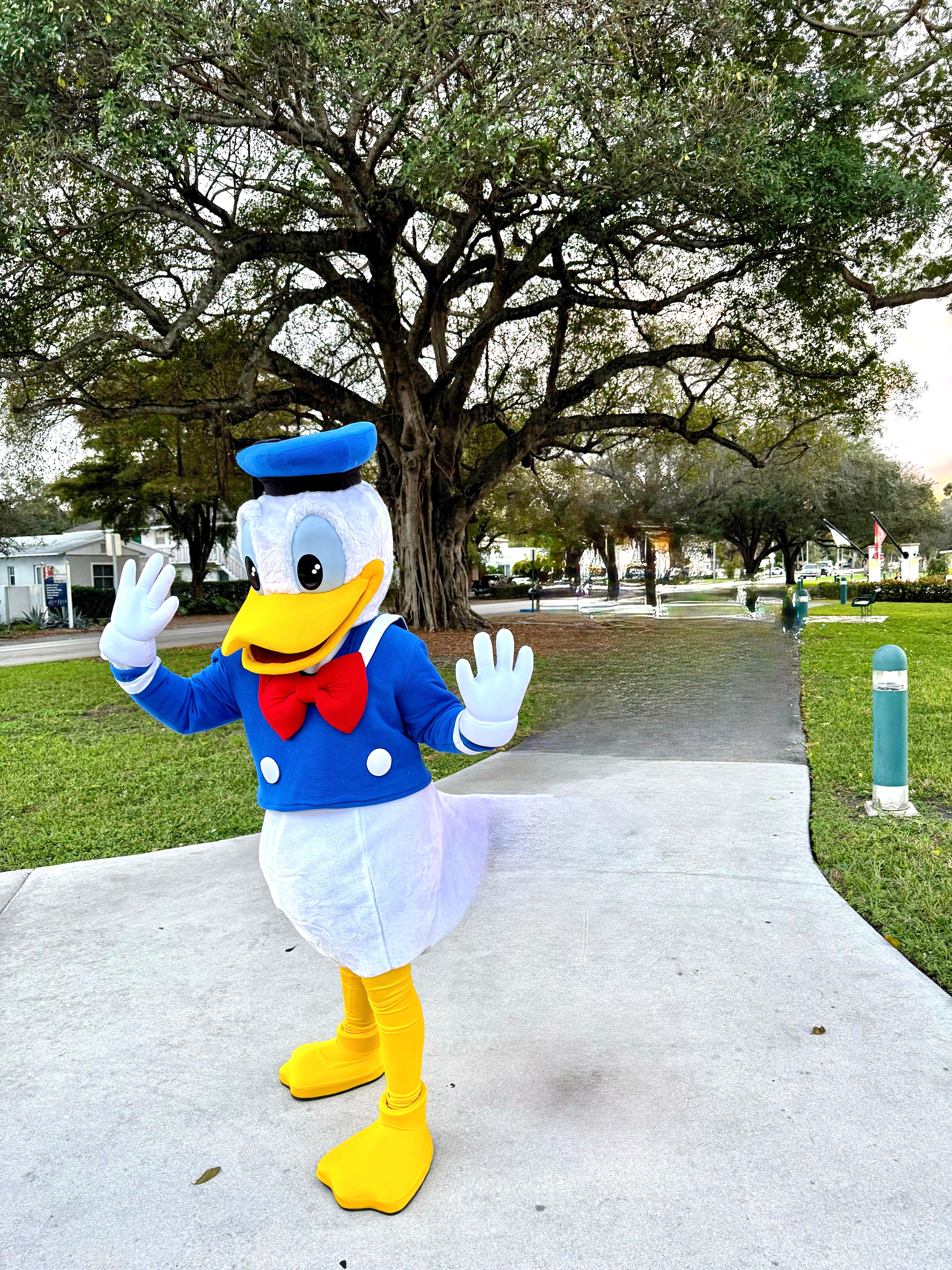 Donald Performance for Kids' Parties & Events | Imagine Occasions