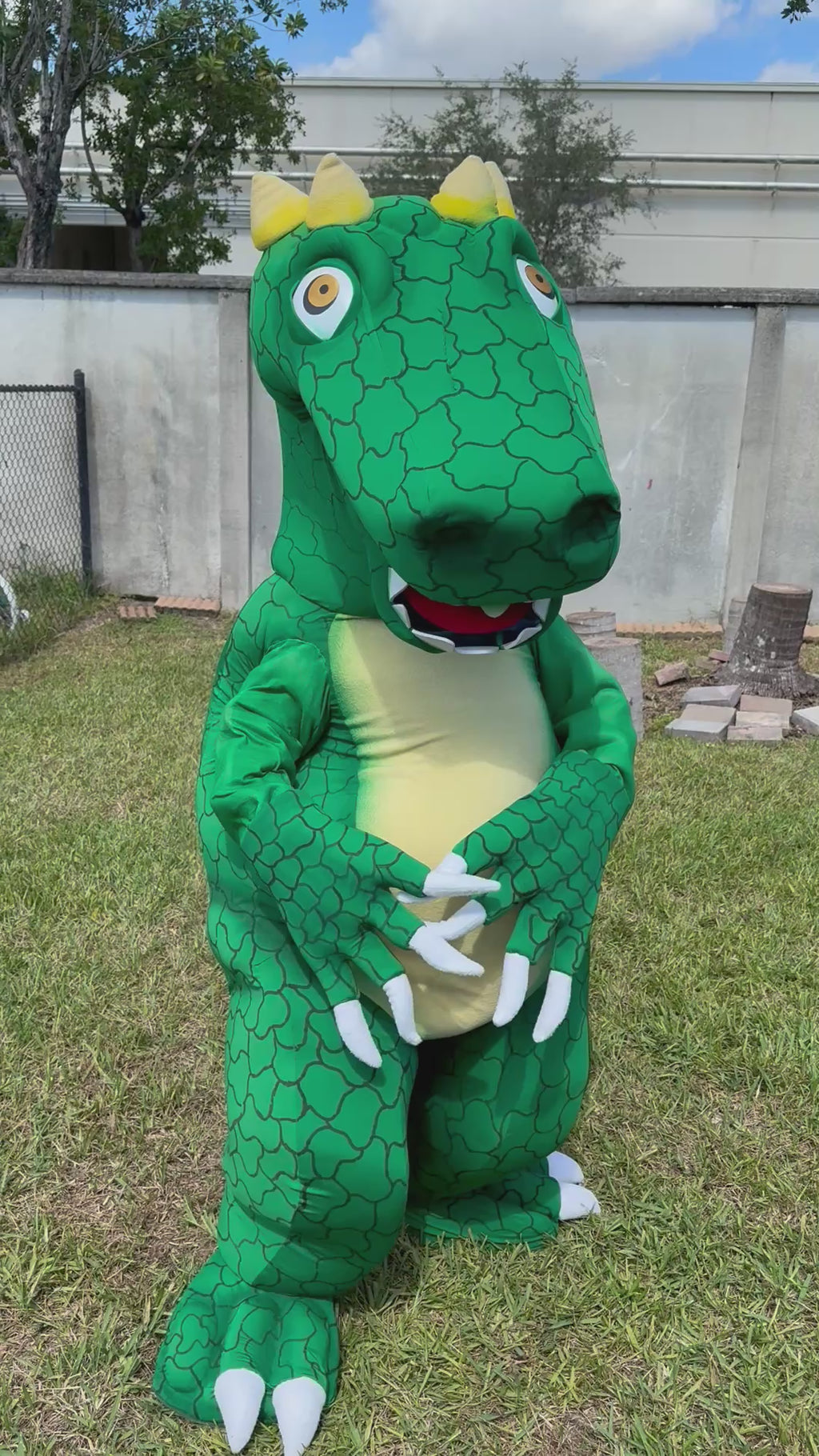 Dinosaur Performance for Kids' Parties & Events | Imagine Occasions