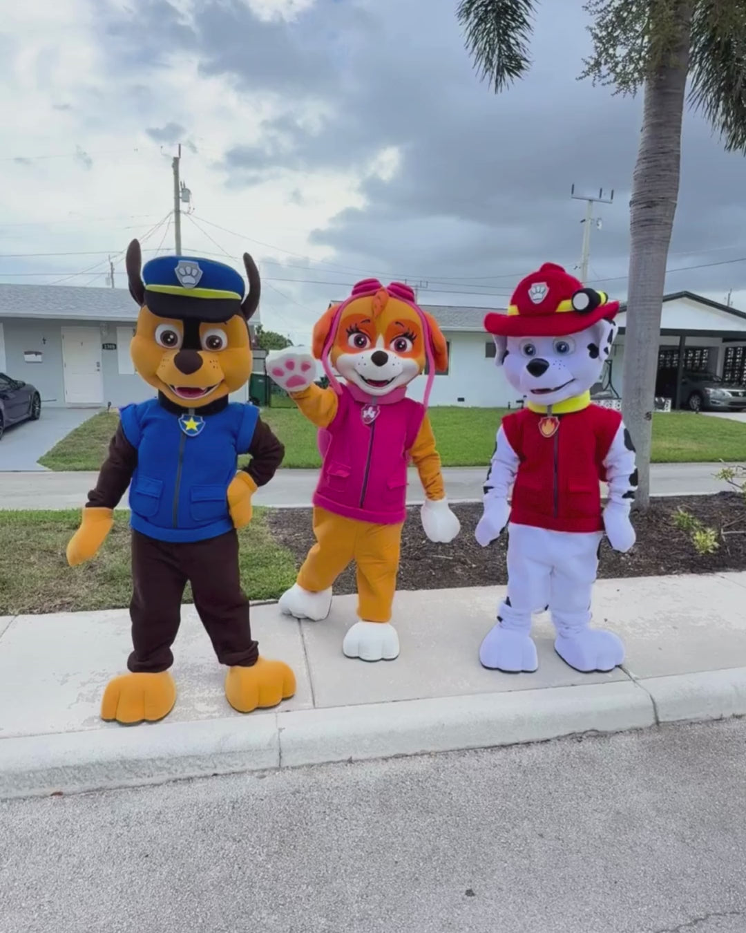 Paw Patrol Deluxe Show - Adventure Bay Heroes | Imagine Occasions