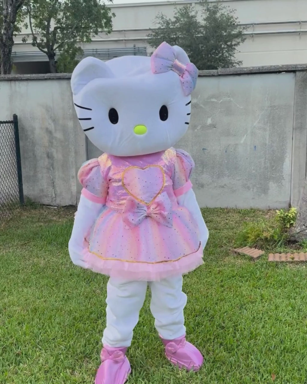 Hello Kitty Performance for Kids' Parties & Events | Imagine Occasions