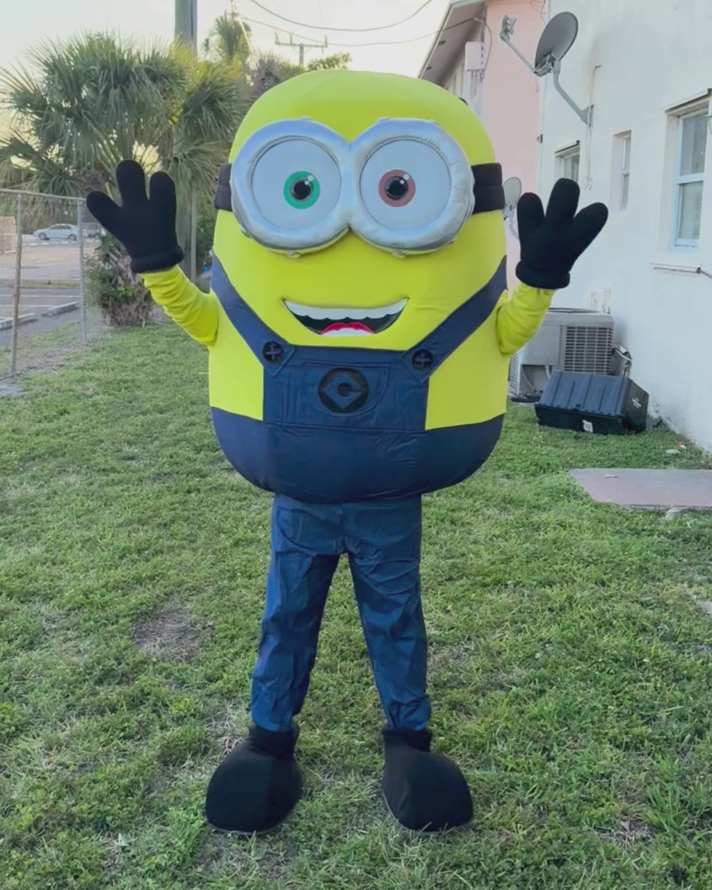 Minions Performance for Kids' Parties & Events | Imagine Occasions