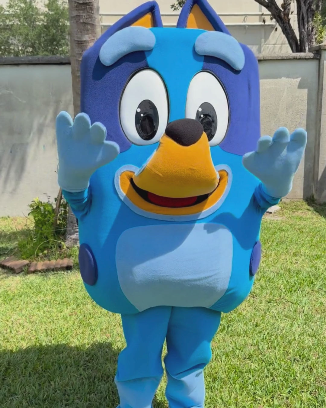 Bluey Character Rental - Professional Kids Party Entertainment